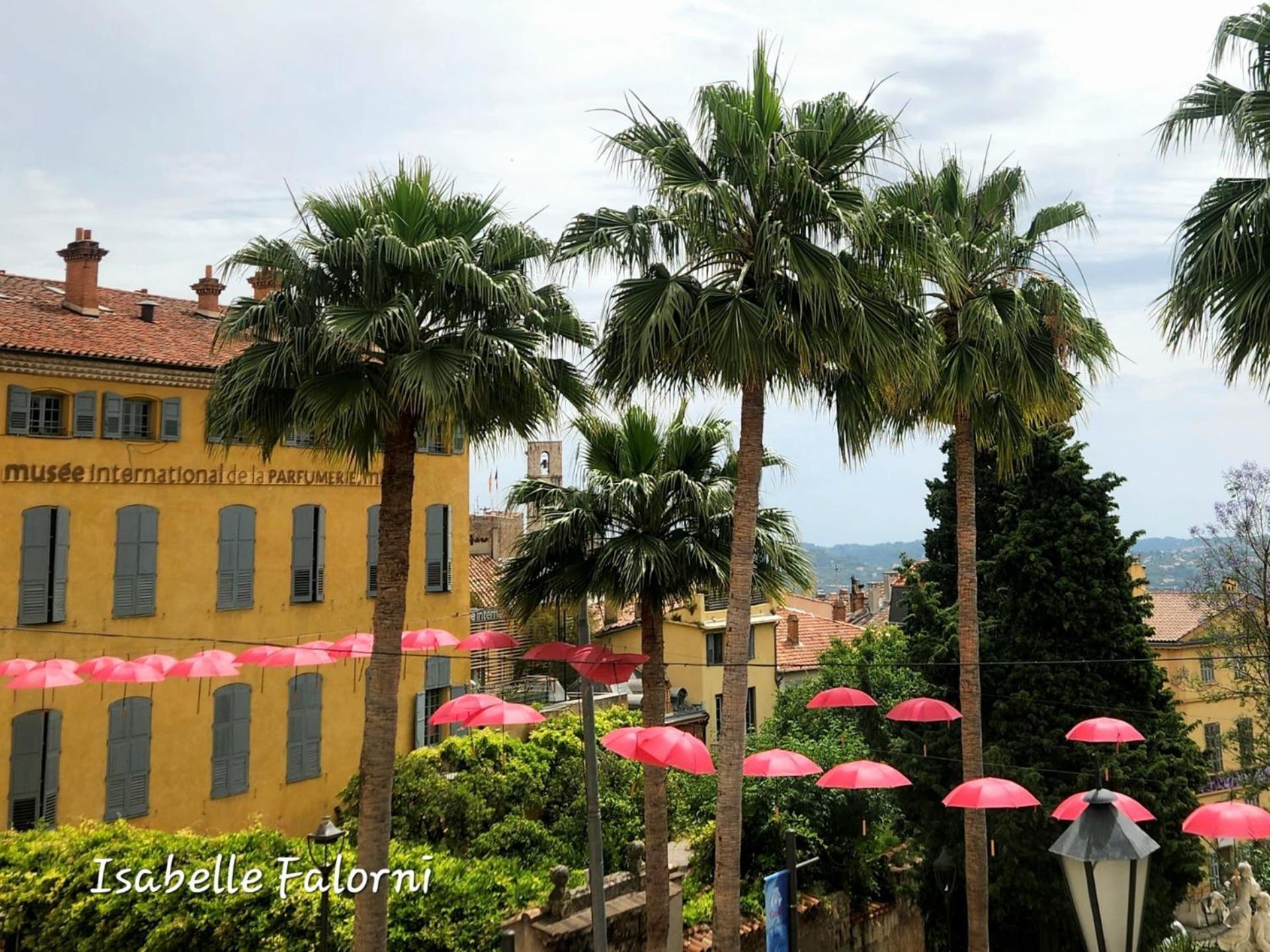 2 Pieces, Proche Centre Ville, Gip Asfo, Jardin Et Parking Privatifs Grasse Exterior photo