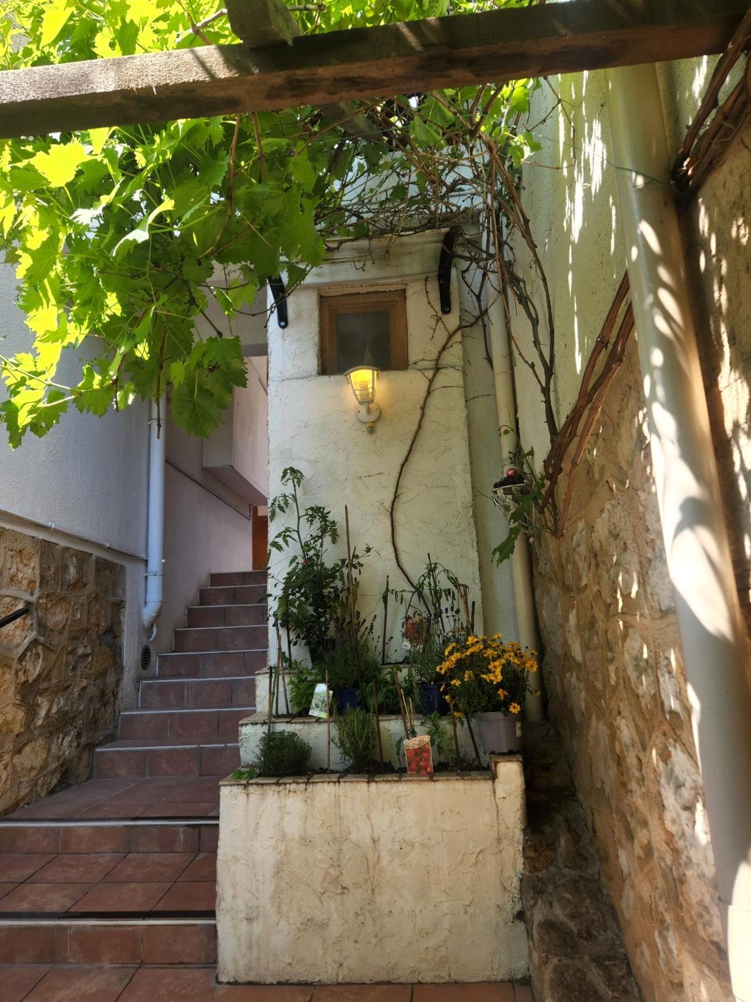2 Pieces, Proche Centre Ville, Gip Asfo, Jardin Et Parking Privatifs Grasse Exterior photo