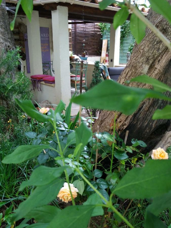 2 Pieces, Proche Centre Ville, Gip Asfo, Jardin Et Parking Privatifs Grasse Exterior photo